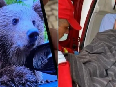 Selfie mania, turista apre il finestrino dell'auto per fare una foto con l'orso e viene aggredita
