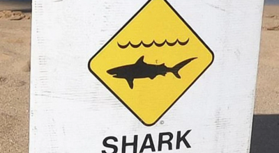 Donna in condizioni critiche dopo un attacco di squalo sulla spiaggia di Coogee in Australia