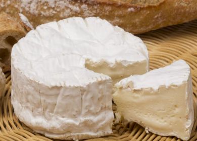 formaggio Camembert