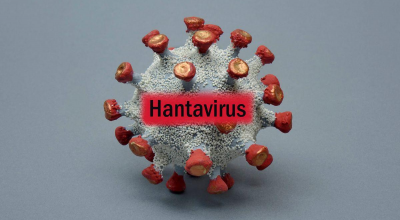 Virus uccide tre passeggeri su una nave da crociera