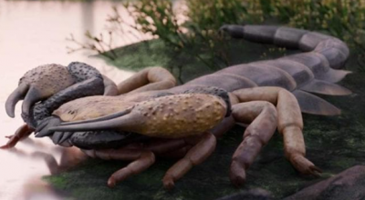 Scoperta sensazionale in Inghilterra: identificato il Praearcturus gigas lo scorpione più grande della storia della Terra