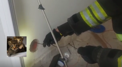 Due gattini di pochi giorni intrappolati nella presa d’aria muro e salvati dai Vigili del Fuoco e dai proprietari della casa