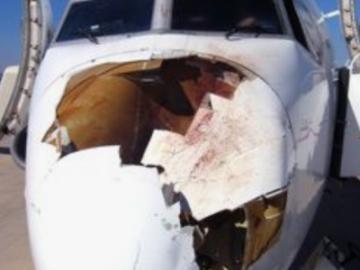 Impatto aereo Ryanair con volatile, volo per Bari deviato