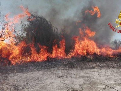Brucia l’oasi e riserva naturale Le Cesine: distrutti cento ettari di vegetazione – Il video