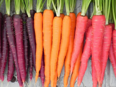 Pesticida estremamente pericoloso "Oxamyl" in carote italiane: allerta Rasff dalla Svezia