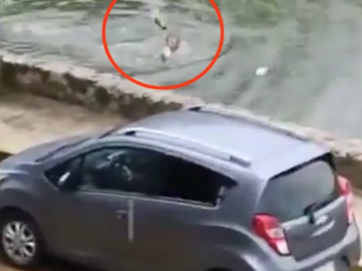 Messico, uomo attaccato da un enorme coccodrillo mentre nuota – Video mozzafiato