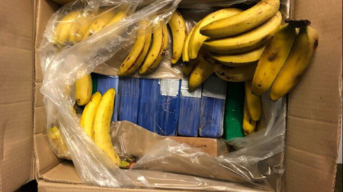 Droga nelle banane: per errore dal porto di Anversa 95 chili di cocaina finiscono nei supermercati Aldi in Germania