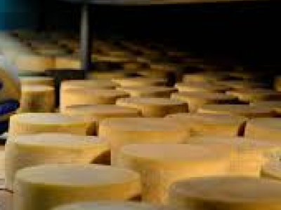 Il formaggio contaminato da listeria uccise sette persone, casaro condannato a 2 anni per omicidio colposo plurimo