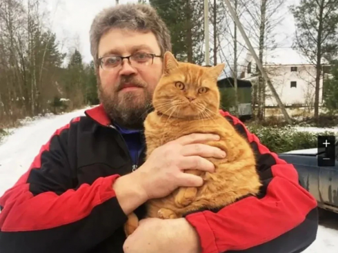 Graffiato dal suo gatto, uomo muore dissanguato