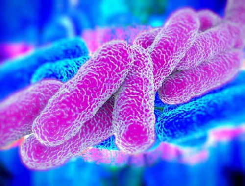 Allarme Legionella a Creta, turista in coma