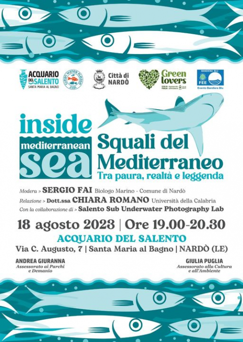 Squali del mediterraneo tra paura realtà e leggenda