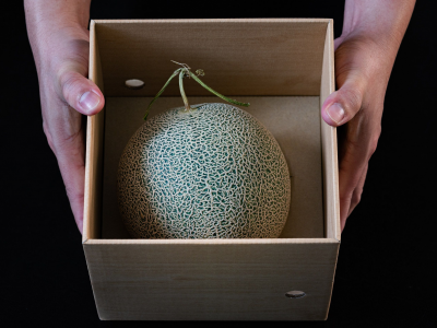 Giappone: due meloni venduti all'asta per oltre 20mila euro! 