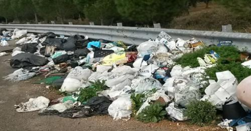 Il fenomeno: rifiuti abbandonati lungo le strade e sulle piazzole di sosta anche nel Salento