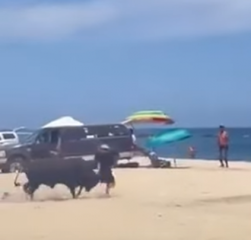 Momento shock: donna incornata da un toro sulla spiaggia