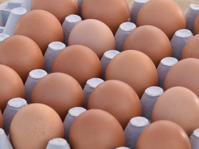 Uova fresche, allerta del ministero della salute per la salmonella: ritirati lotti dell'Avicola Ovo Fucens
