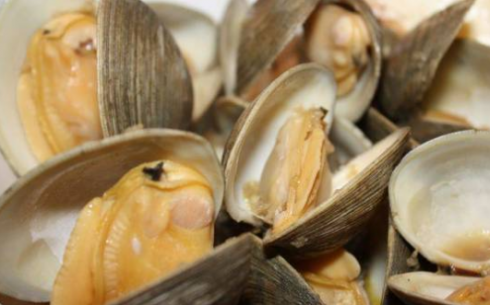 Vongole contaminate con un batterio pericoloso, il Ministero della Salute lancia l'allarme