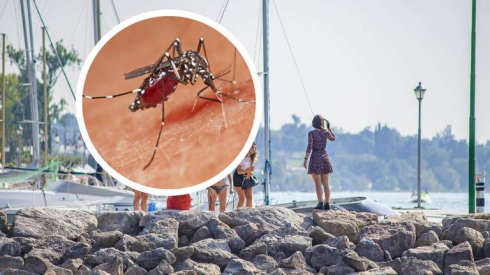 Epidemia di Dengue sul Lago di Garda